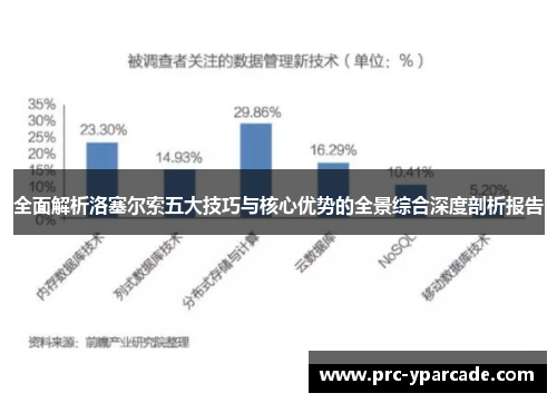 全面解析洛塞尔索五大技巧与核心优势的全景综合深度剖析报告